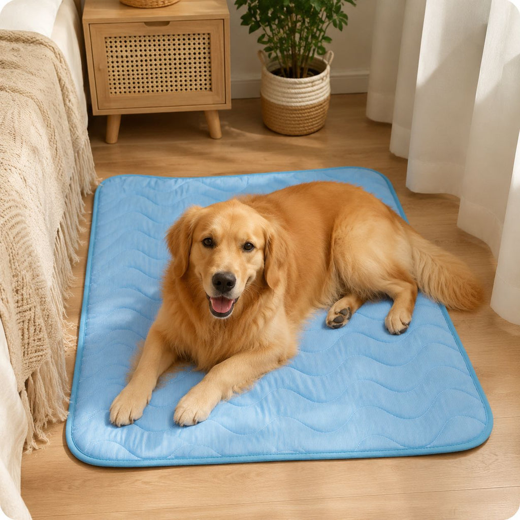 Pet Ice Silk Cooling Mat