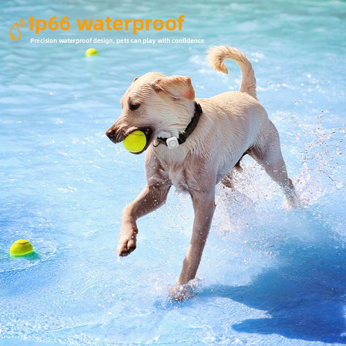 GPS Pet Health Tracker
