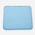 Pet Ice Silk Cooling Mat